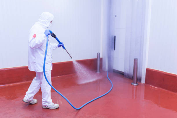 Best Post-Construction Pressure Washing  in Central City, IL