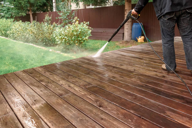 Best Pre-Holiday Cleaning  in Central City, IL
