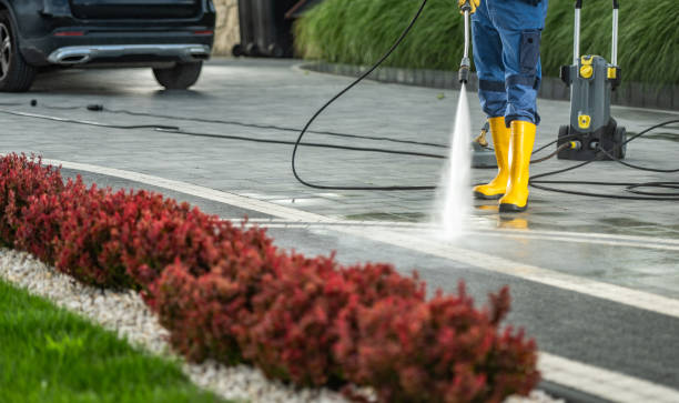 Best Gutter Cleaning  in Central City, IL